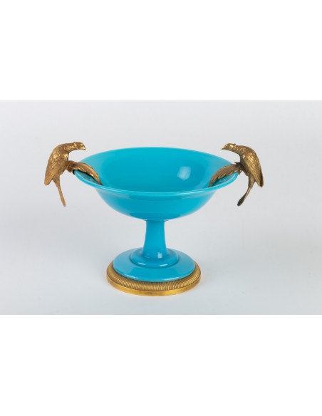 Zawodnik klubu Opaline Blue Turquoise Monté de Bronze