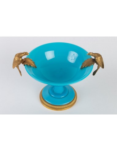 Zawodnik klubu Opaline Blue Turquoise Monté de Bronze