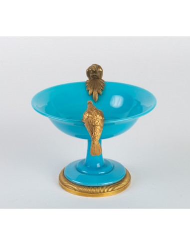 Zawodnik klubu Opaline Blue Turquoise Monté de Bronze