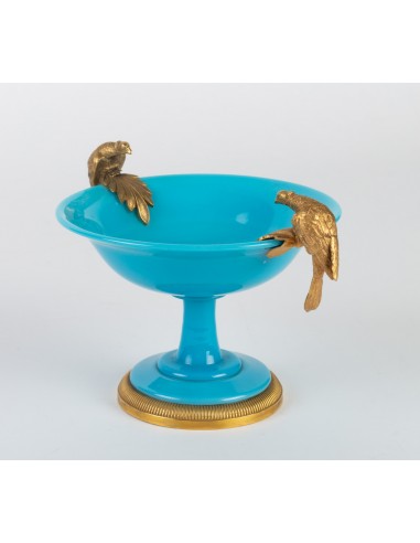 Zawodnik klubu Opaline Blue Turquoise Monté de Bronze