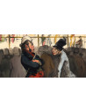 Honoré Daumier