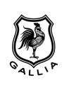 Maison Gallia
